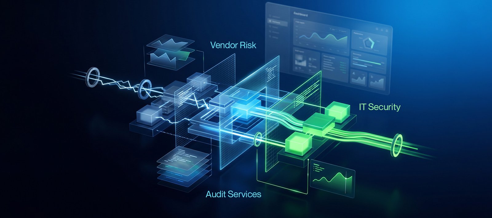 Software Audit